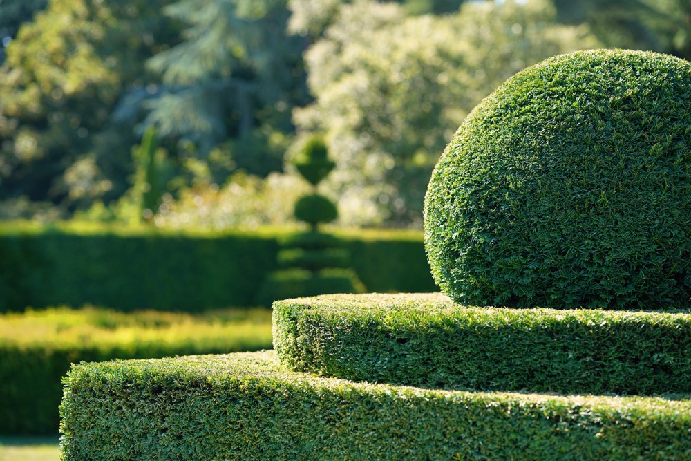 Pristene garden topiary cut to perfection